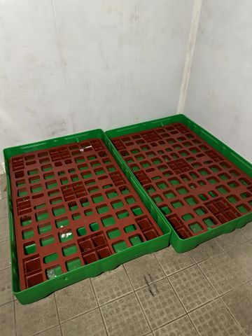 Deux palettes plastiques et banc plastique