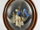 la photo d'une photo représentant un oiseau dans une boule de verre