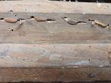 a piece of wood that has been cut in half and is sitting on a table