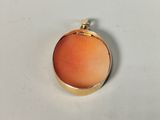 an image of a pendant with an orange stone in the center