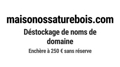 Nom de domaine maisonossaturebois.