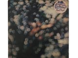 an image of a picture of a bunch of grapes in a field