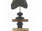 a glass clochet with a wooden base and a wooden base