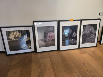 5 Photos d'art Flora (3 modèles différents), Prix d'achat un…