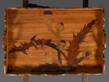 a picture of a wooden tray with a painting on it