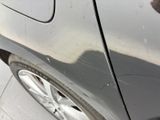 a dog that is standing next to a car