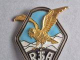 a close up of a badge with an eagle on it