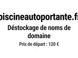 Photo 1/1 du lot