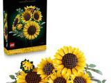trois tournesols posés devant une boîte