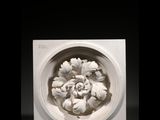 Photo 1/5 du lot