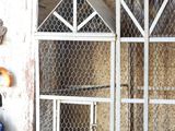 a woman standing next to a bird cage with a bird inside of it