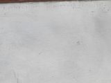 an image of a painting of a bird in a field of grass