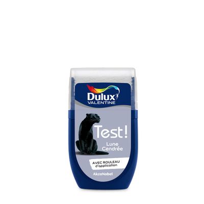 DULUX VALENTINE - Testeur de peinture - Lune Cendrée - 30ml …