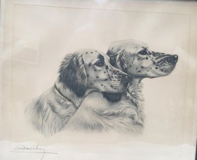 deux chiens assis l'un à côté de l'autre