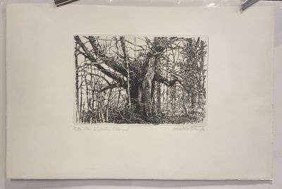 an image of a black and white drawing of a tree in the woods