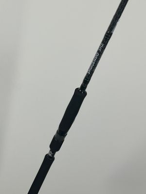 a close up of a fishing rod on a pole with a sky background