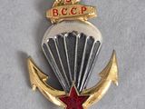 une image représentant un insigne militaire orné d'une étoile rouge