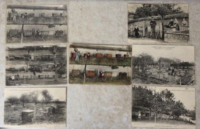 de nombreuses photos anciennes représentant des personnes dans un cadre rural