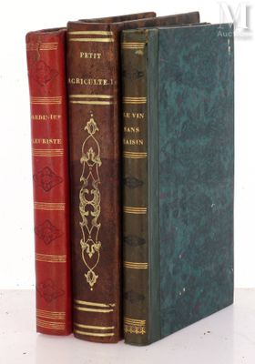 trois livres posés sur une table blanche
