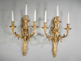 pair of antique wall sconces in the style of louis ii