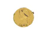 an image of a close up of a gold coin on a white surface