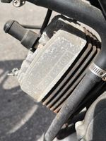 Cyclomoteur Peugeot VOGUE (photo 3)