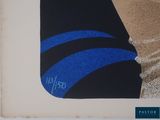 a picture of a picture of a person with a surfboard