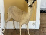 une fausse antilope posée dans un coin de la pièce