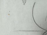 a drawing of a vase with a plant in it