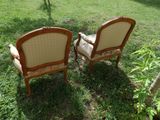 pair of antique chairs in the grass with cushions on them