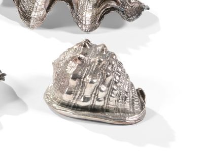 trois objets métalliques argentés posés sur une surface blanche, sur fond blanc