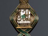 an image of a badge with a crown on top of it