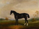 une peinture à l'huile représentant un cheval noir debout dans un champ