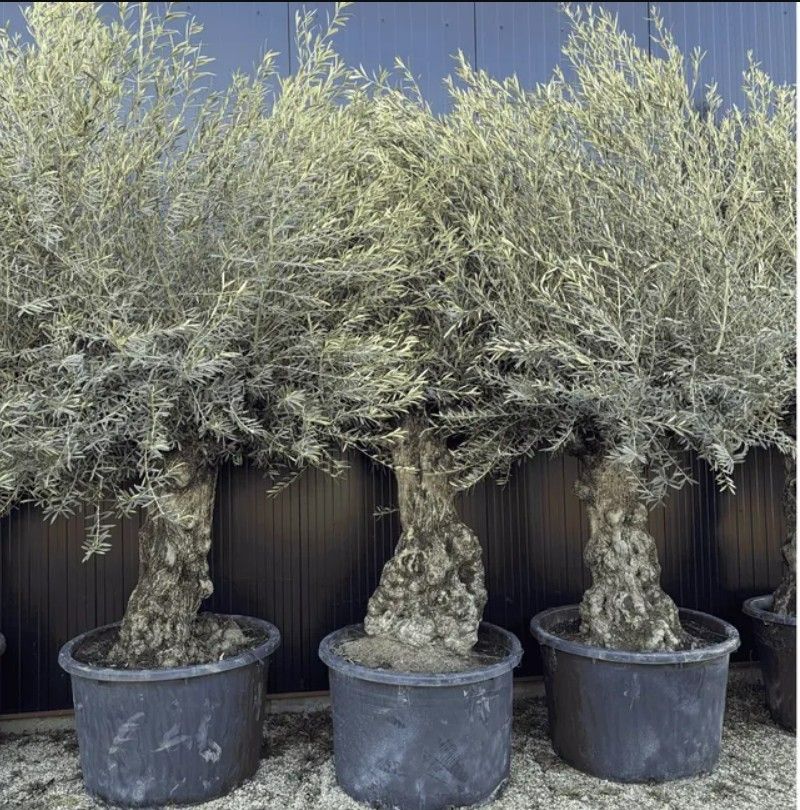 Destockage & Invendus