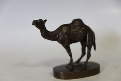 statue représentant un chameau, posée sur un socle en bois, sur une surface blanche