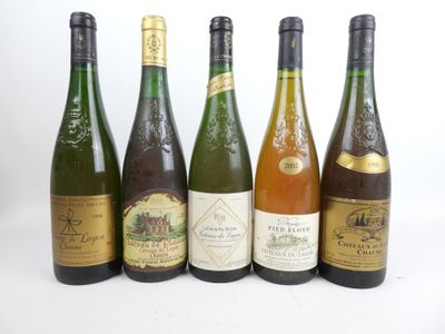 six bouteilles de vin sont alignées sur une surface blanche