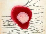 une image représentant une peinture d'une fleur rouge sur une feuille de papier