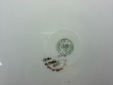 a white plate with a brown design on it