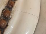 a white plate that has some kind of food on it