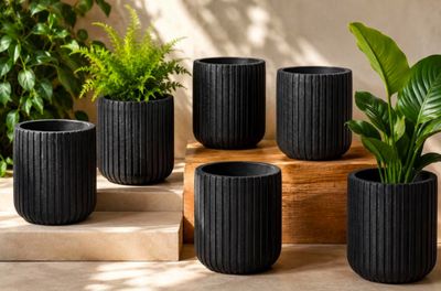 un ensemble de quatre jardinières noires posées sur une table en bois