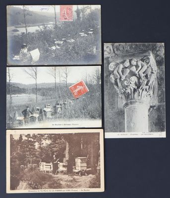 plusieurs vieilles photos représentant des personnes et des animaux dans un champ bordé d'arbres