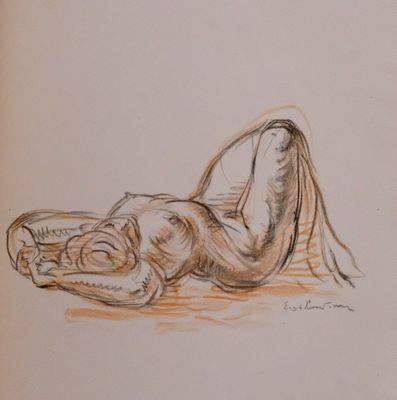 a drawing of a person laying on the ground