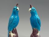 deux oiseaux bleus perchés sur une souche d'arbre