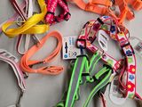 tout un tas de laisses pour chiens posées sur une table