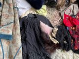 Photo 6/6 du lot