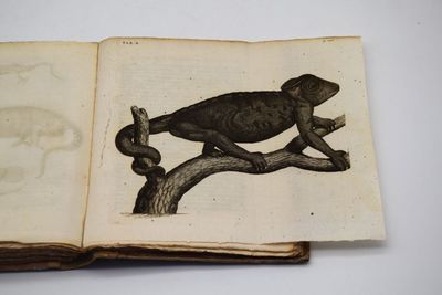 un vieux livre sur lequel figure le dessin d'un oiseau perché sur une branche d'arbre