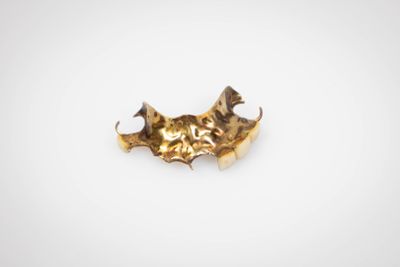 une image représentant une feuille d'or posée sur une surface blanche