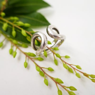a close up of a silver ring on a branch of a plant