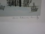 a picture of a drawing of a person standing in the snow
