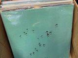 a lot of vinyl records in a cardboard box